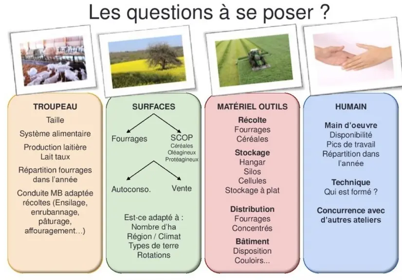 En modifiant son système alimentaire, il faut garder de la cohérence avec les surfaces, le nombre d’animaux, les rotations, le matériel disponible, les capacités de stockage, la main d’œuvre disponible... © Bluet-Jarry