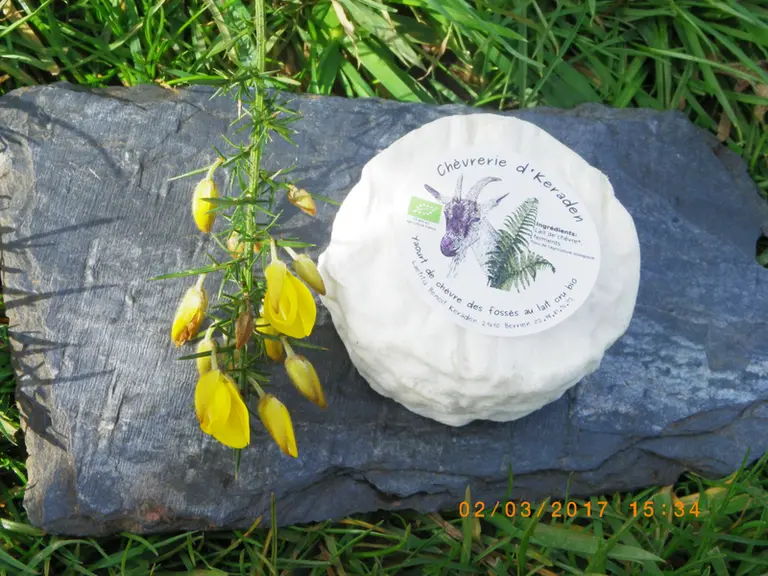 Laëtitia Benoît transforme le lait de ses chèvres des fossés en fromages et yaourts. © Keraden