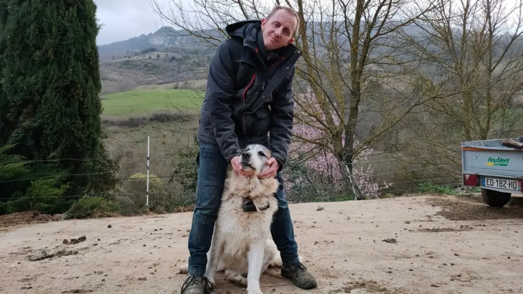 Vincent Bibbeau a d'abord équipé son jeune chien de protection pour suivre ses vagabondages et y mettre un terme. Il a poursuivit l'expérience avec se