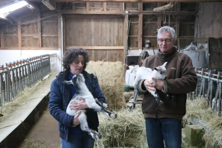 La Confédération paysanne souhaite que les éleveurs se réapproprient la valorisation des chevreaux en touchant une prime pour l'engraissement à la fer