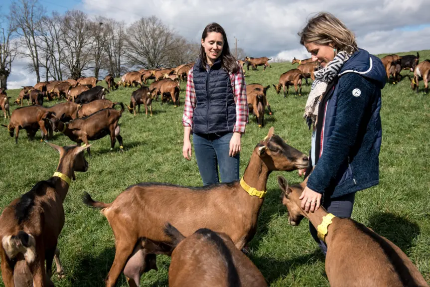 Avec l'aide de cabinet d'éthologie, les laiteries H. Triballat Rians vont former  leurs 450 producteurs de lait au bien-être animal.  © Rians
