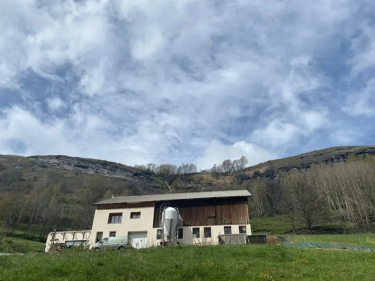 Les chèvres de la ferme des Molières ont une vue privilégiée sur la montagne de la Meije. © R. Horriot
