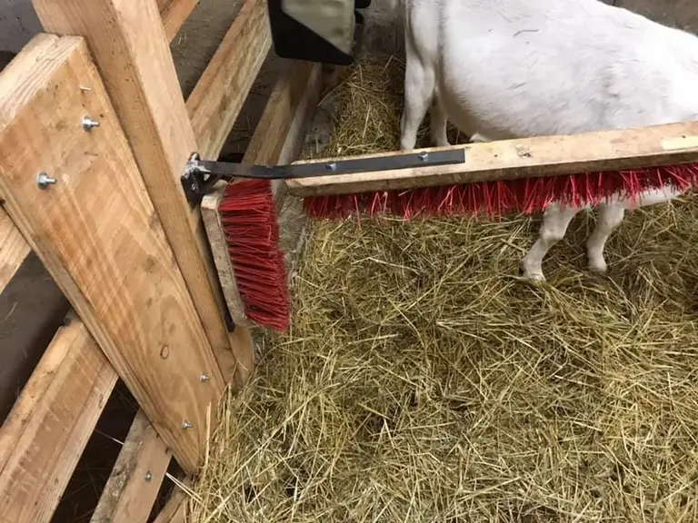 « Il faut prendre le temps de bien réfléchir à son installation. J’ai notamment tout prépercé et fixé la structure avant de mettre les brosses. »