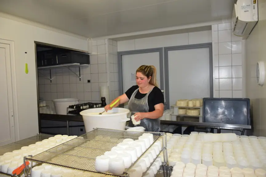 Le Gaec transforme 80 000 litres de lait par an, avec des débouchés diversifiés : une majorité de crottins (180 g en frais), mais aussi des bûches, ap