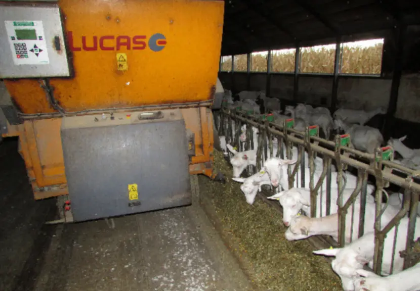 Au Gaec Les Vases, à Nalliers (85), le mélange et la distribution des rations sont automatisés depuis trois ans.
