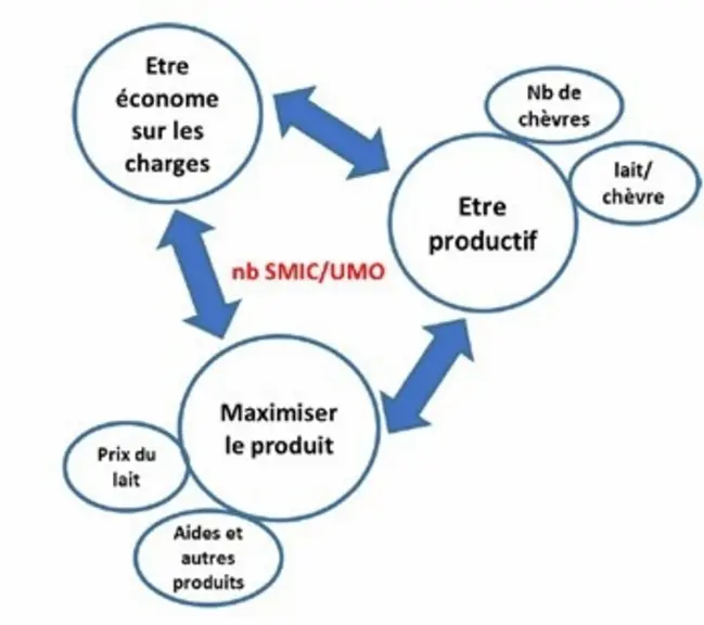 Chez un producteur fermier, le travail comprend l’ensemble des tâches pour produire le lait, le transformer et le vendre.