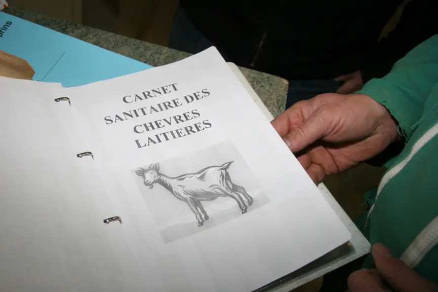 Les élevages de petits ruminants utilisent de moins en moins d’antibiotiques