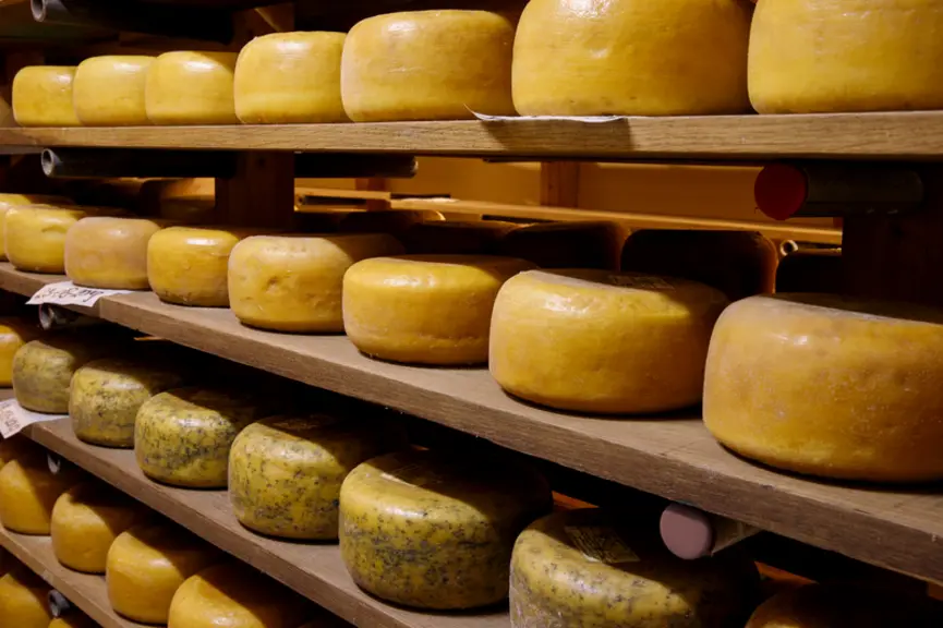 Le gouda d'Alida et Edward est transformé à la ferme et vendu entre 34 et 47 €/kg.