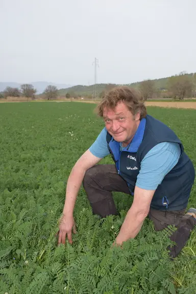 Hugues Girard fait confiance à ses légumineuses, ici du sainfoin, pour produire du lait en étant autonome en protéines.