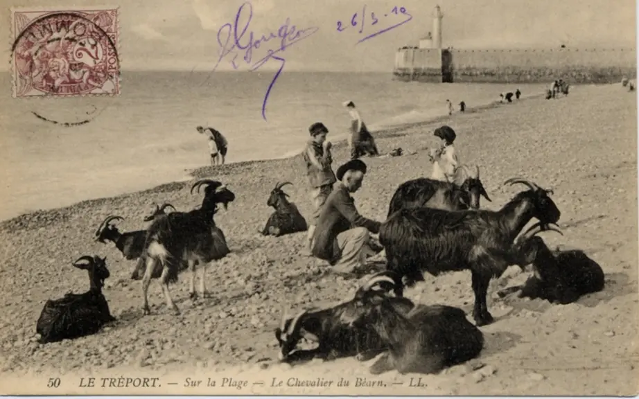 Carte postale du Tréport à la légende savoureuse “Le Chevalier du Béarn”.