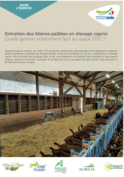 Entretenir sa litière paillée pour un lait de chèvre sans STEC