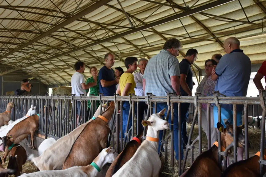 Producteurs, transformateurs et affineur se sont rassemblés le 22 juillet dernier pour fêter l’anniversaire de l’AOP en présence des élus locaux, du d