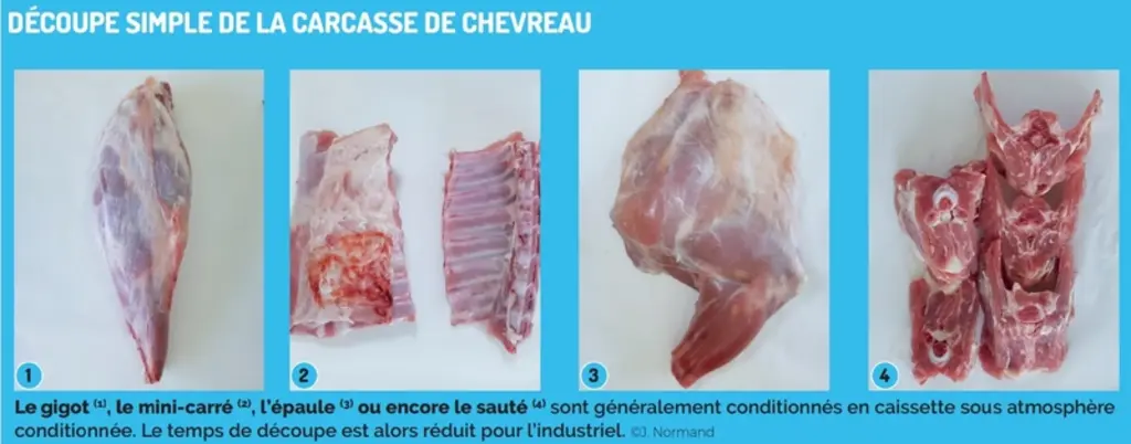 Renouveler l’offre en viande de chevreau