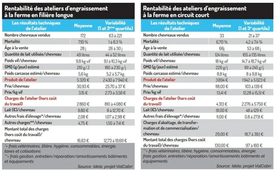 Est-ce rentable d’engraisser des chevreaux à la ferme ?