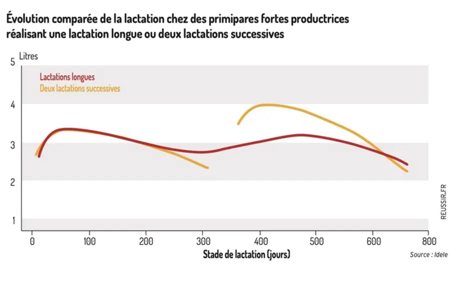 Evolution comparée de la lactation chez des primipares fortes productrices réalisant une lactation longue ou deux lactations successives.