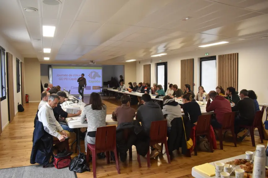 Le projet GO PEI Cap&Go occitan arrive à son terme, l'occasion de réunir éleveurs et conseillers pour échanger sur les apports des essais mis en place