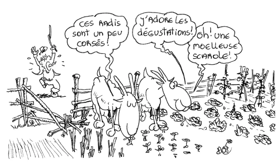 Illustration d'Alain Chrétien
