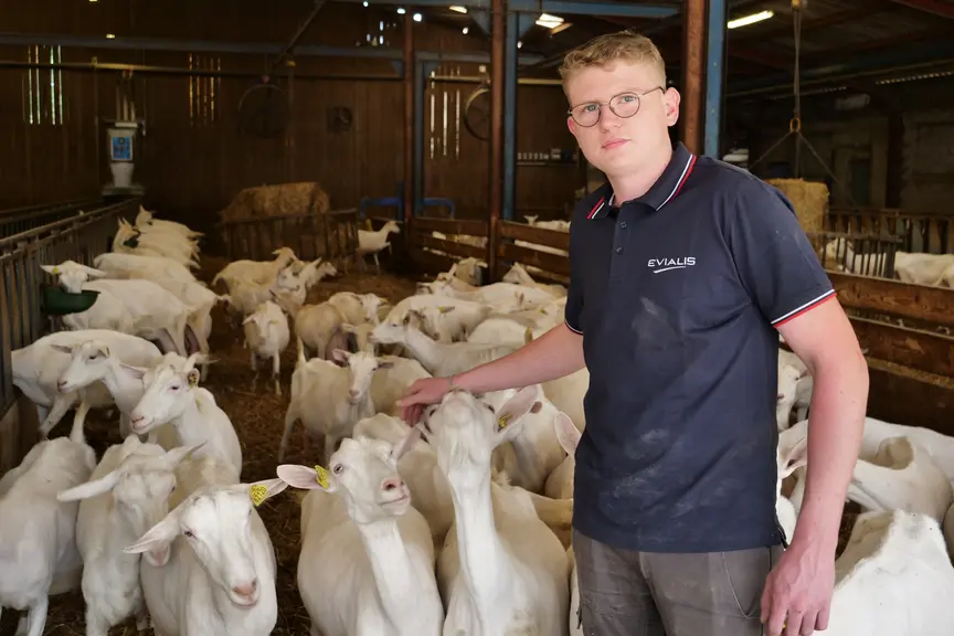 chèvre antoine Denis EVIALIS aliments sans OGM lait