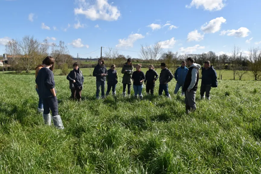 groupe d'éleveurs, prairie, Civam