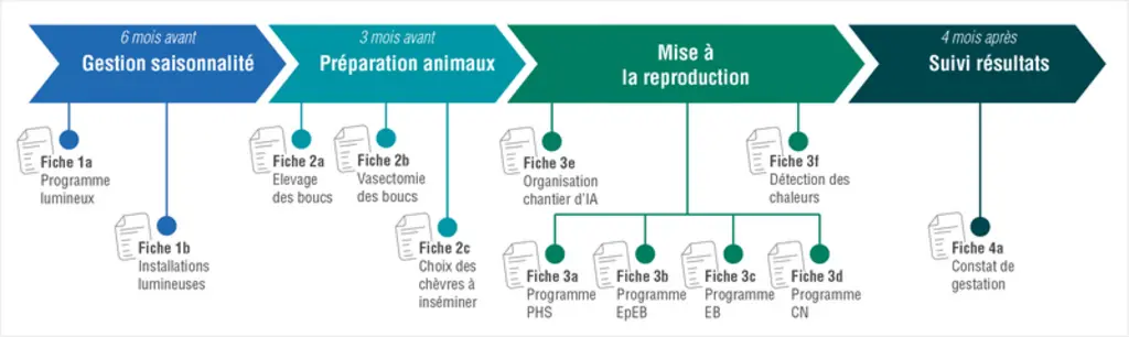 Que ce soit en saillie naturelle ou à l’IA, mais également pour les retours en saillie naturelle, plusieurs étapes sont essentielles pour une bonne ré