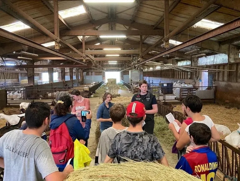 Groupe d'enfants en visite dans une chèvrerie, chèvres saanen, éleveur