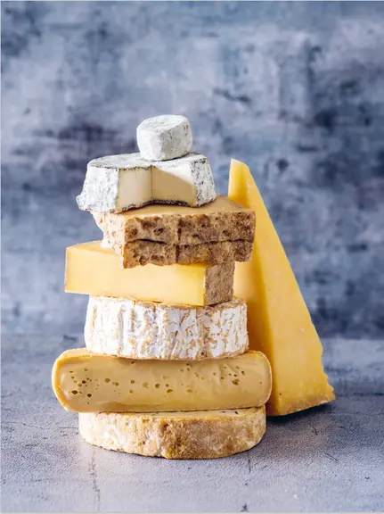 Le grand livre des fromages