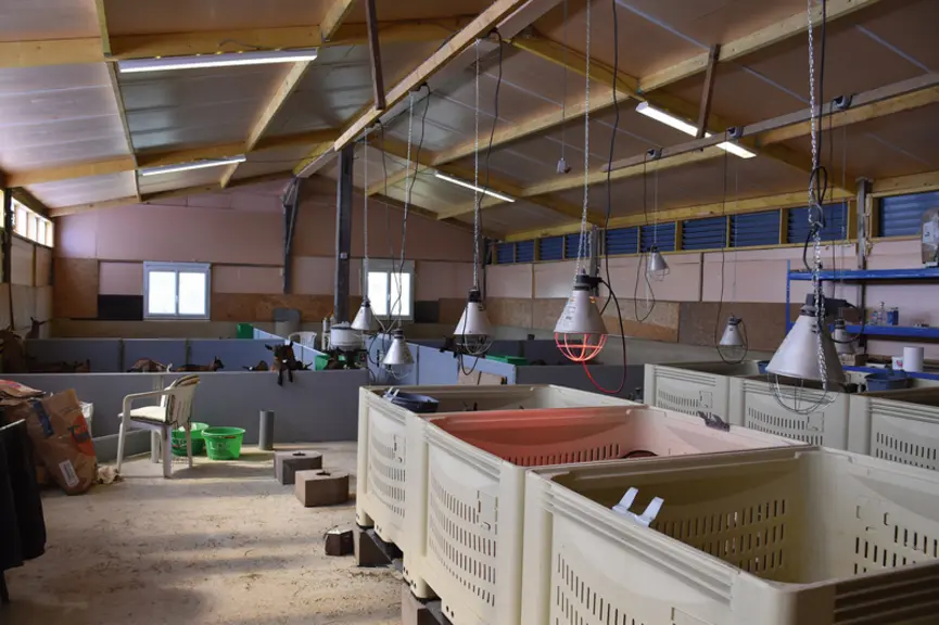 Pallox pour chevreaux nouveau nés