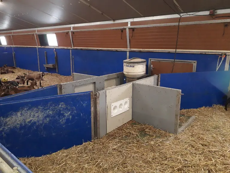 Bâtiment pour les chevrettes avec des parois lavables et démontables