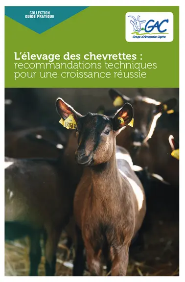 L’élevage des chevrettes : recommandations techniques pour une croissance réussie