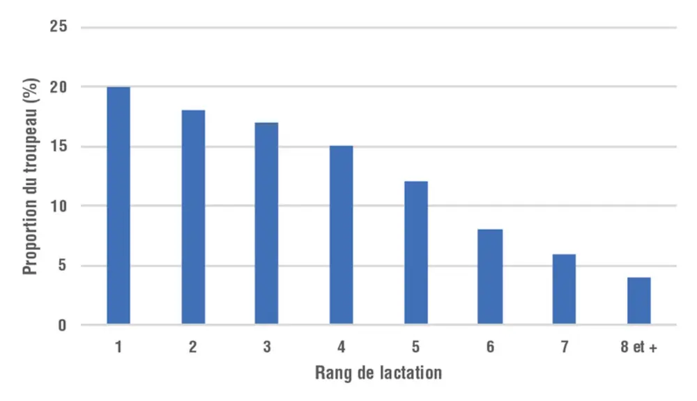Composition idéale d'un troupeau de chèvre selon leur rang de lactation