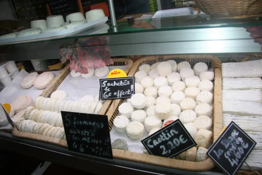 Fromage de chèvre à la vente chez un producteur fermier