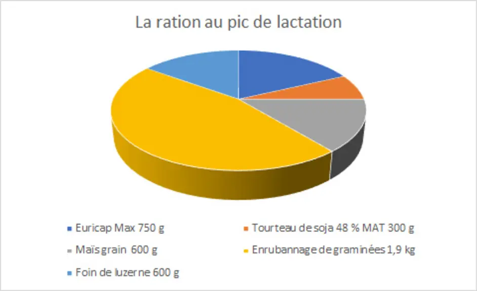 Camembert représentant la ration au pic de lactation