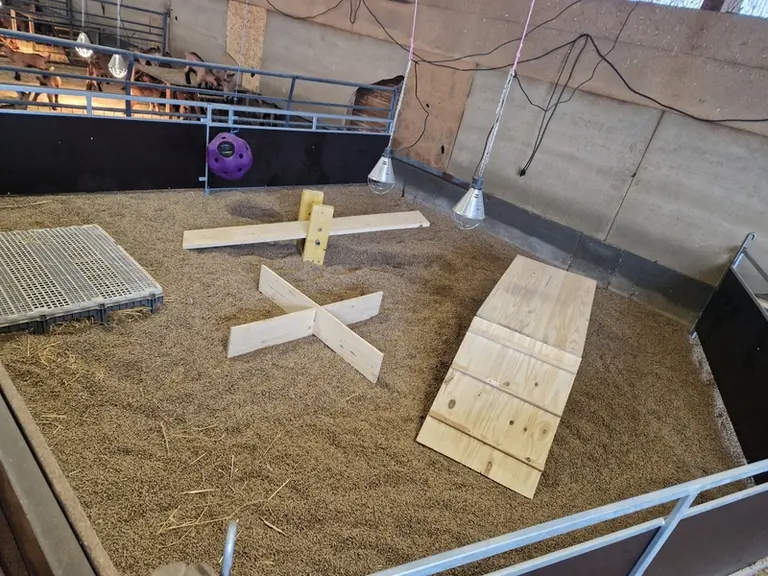 Aire paillée des chevrettes avec enrichissement du milieu