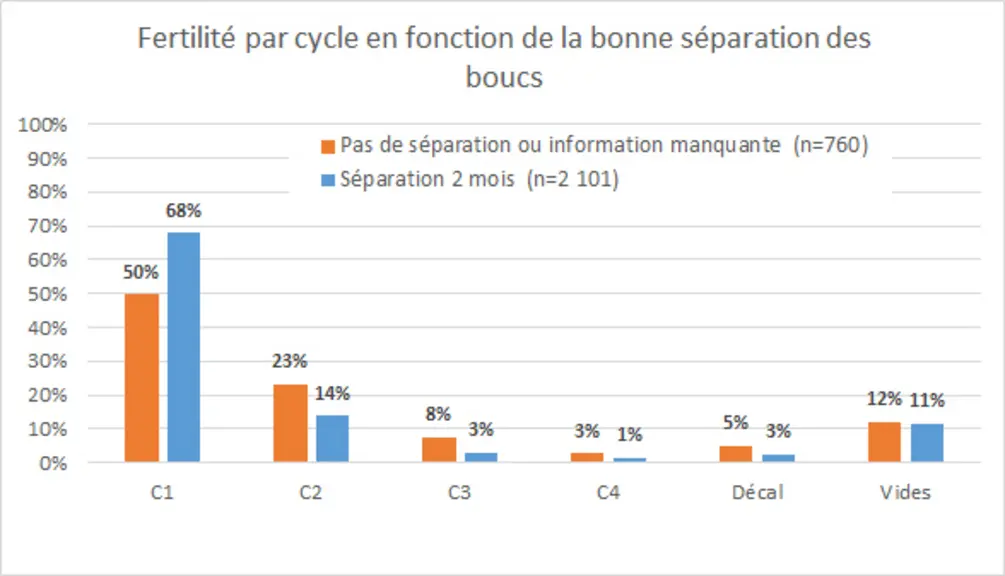 Fertilité par cycle en fonction de la bonne séparation des boucs