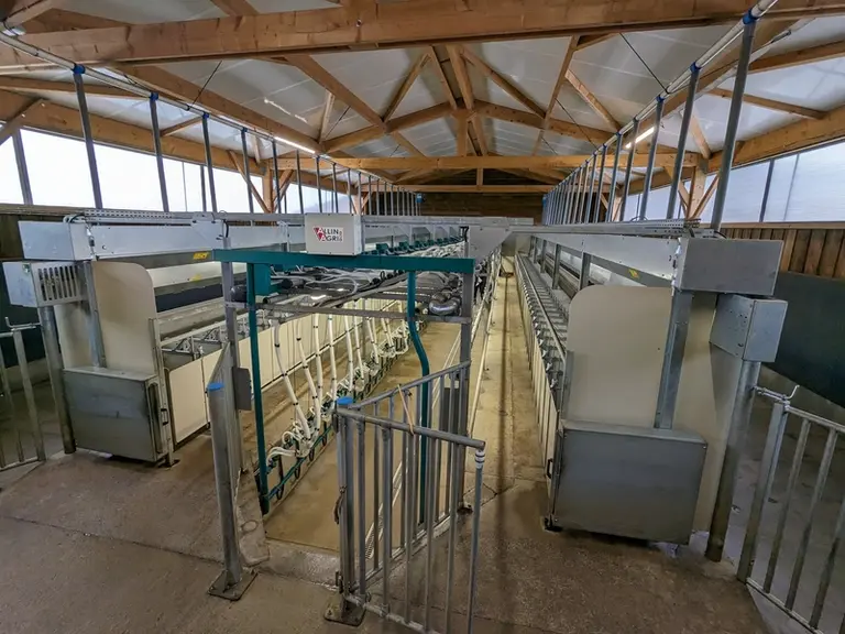Salle de traite pour les chèvres