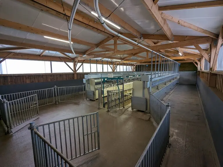 La salle de traite est lavée au karcher tous les jours.