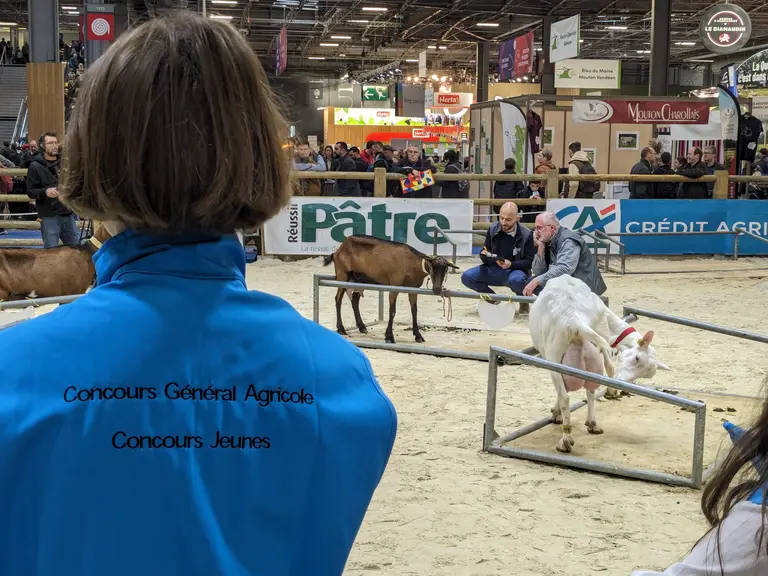 Trophée du meilleur pointeur caprin Les jeunes de 15 à 25 ans, élèves de l’enseignement agricole, ont montré leur aptitude au pointage des animaux en