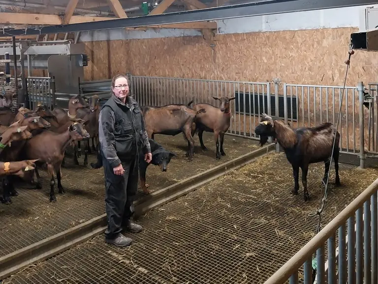 Mathilde Kippert au milieu des chèvres et des boucs