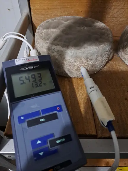pH-mètre et fromage