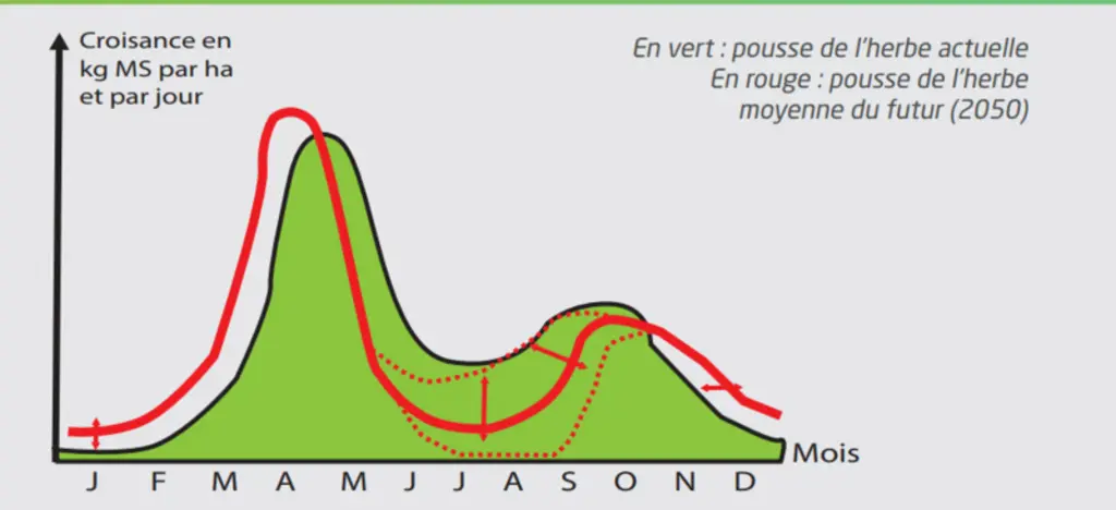 Courbe de production de l'herbe