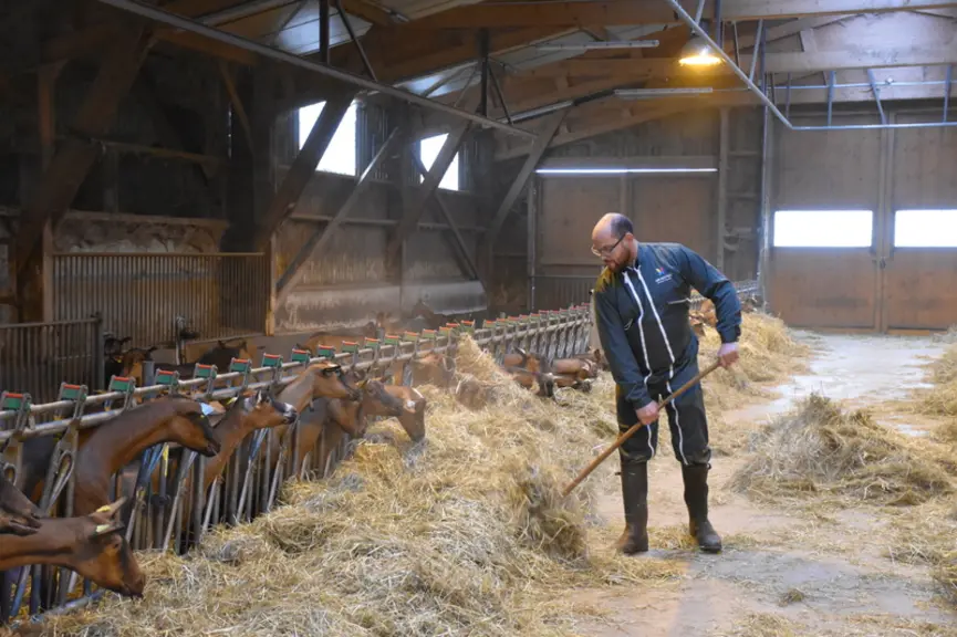 Aurélien Lepin et ses chèvres