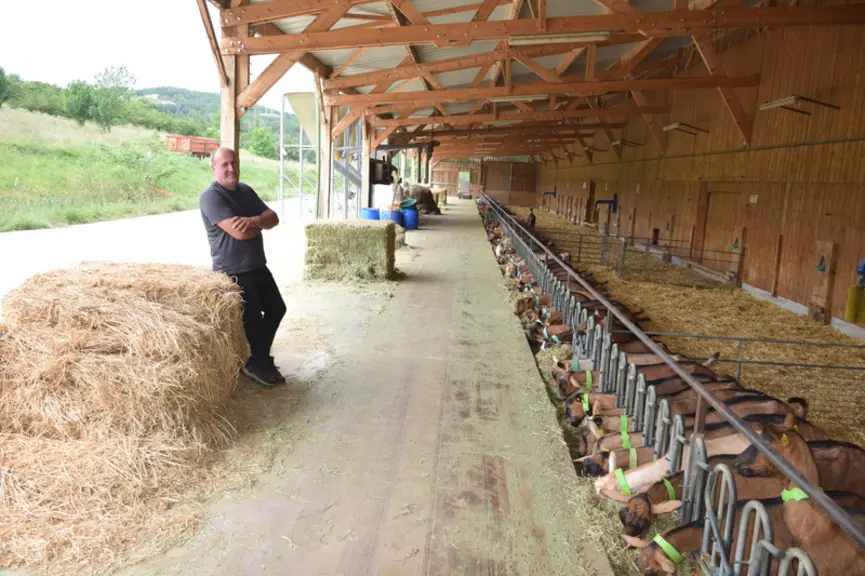 Laurent Poulet dans sa chèvrerie ouverte