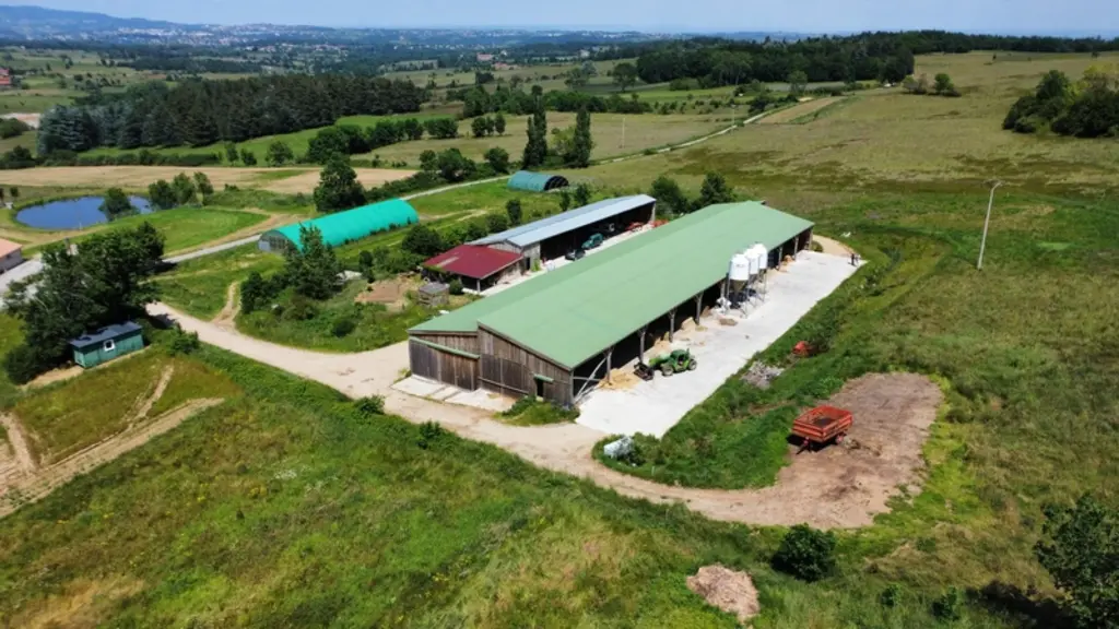 Chèvrerie ouverte vue du ciel