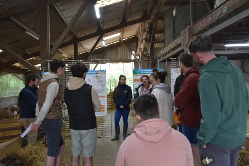 Des étudiants assistent à une présentation.