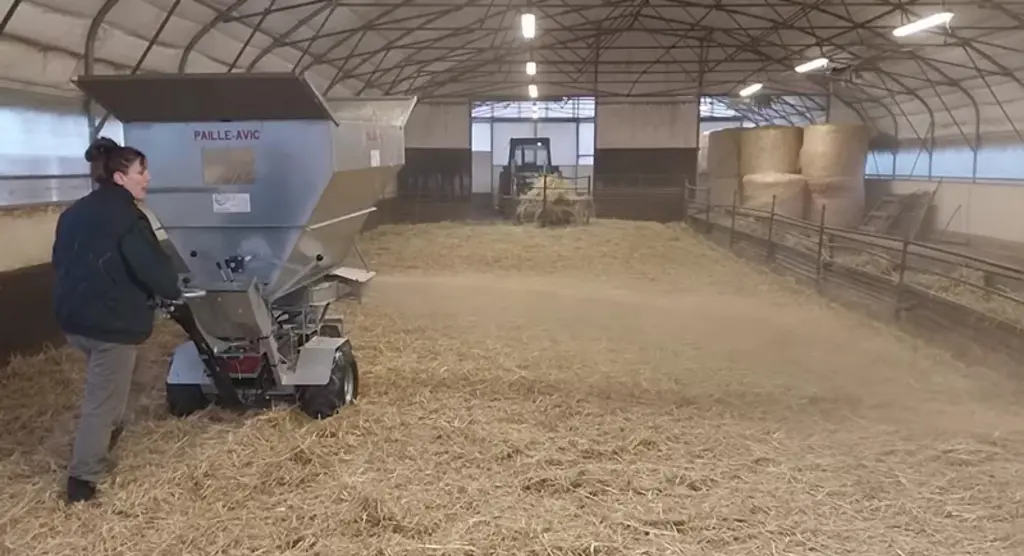 Paillage d'un bâtiment caprin avec une pailleuse à moteur