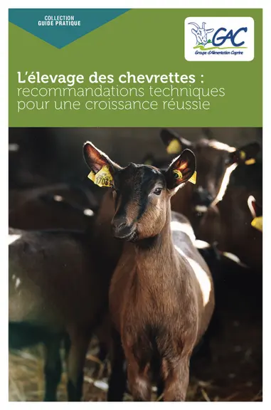 Première page du guide L’élevage des chevrettes : recommandations techniques pour une croissance réussie