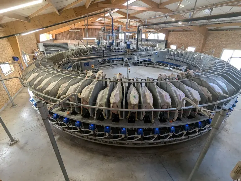 <em class="placeholder">Salle de traite avec le roto 2RO de SAC</em>
