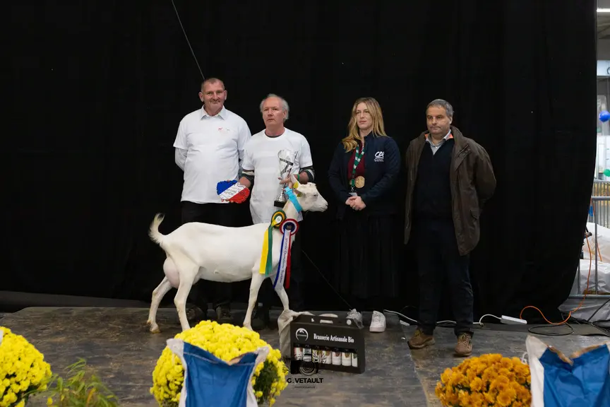 Grande championne suprême de l'EARL Lait's Go