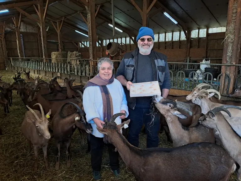 Nathalie et Laurent Masbou au milieu du troupeau de chèvre