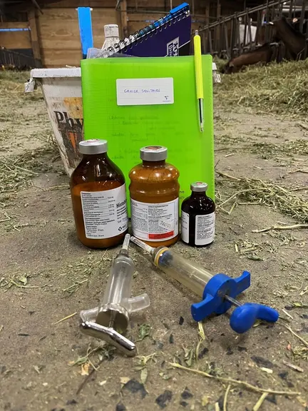 <em class="placeholder">Médicaments vétérinaires, seringues et carnet sanitaire</em>